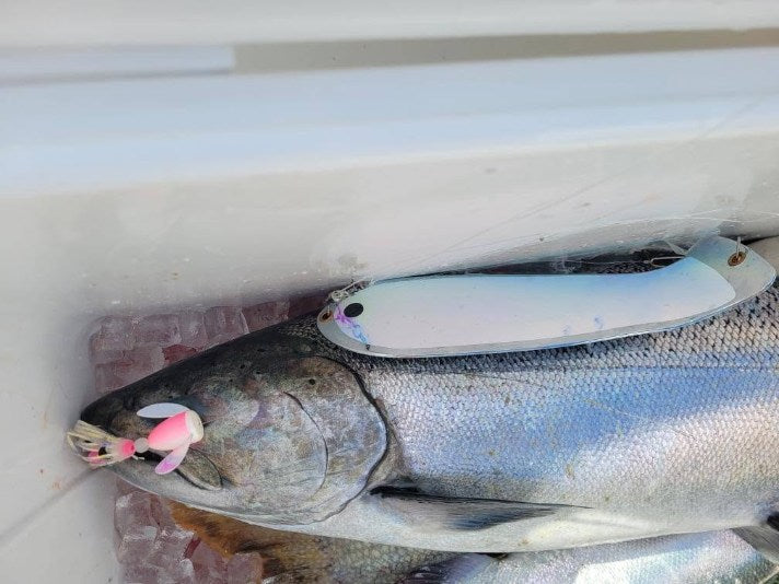 Ice Strong Outdoors - The Lake Trout Killer — “Judy UV" (3 options!)